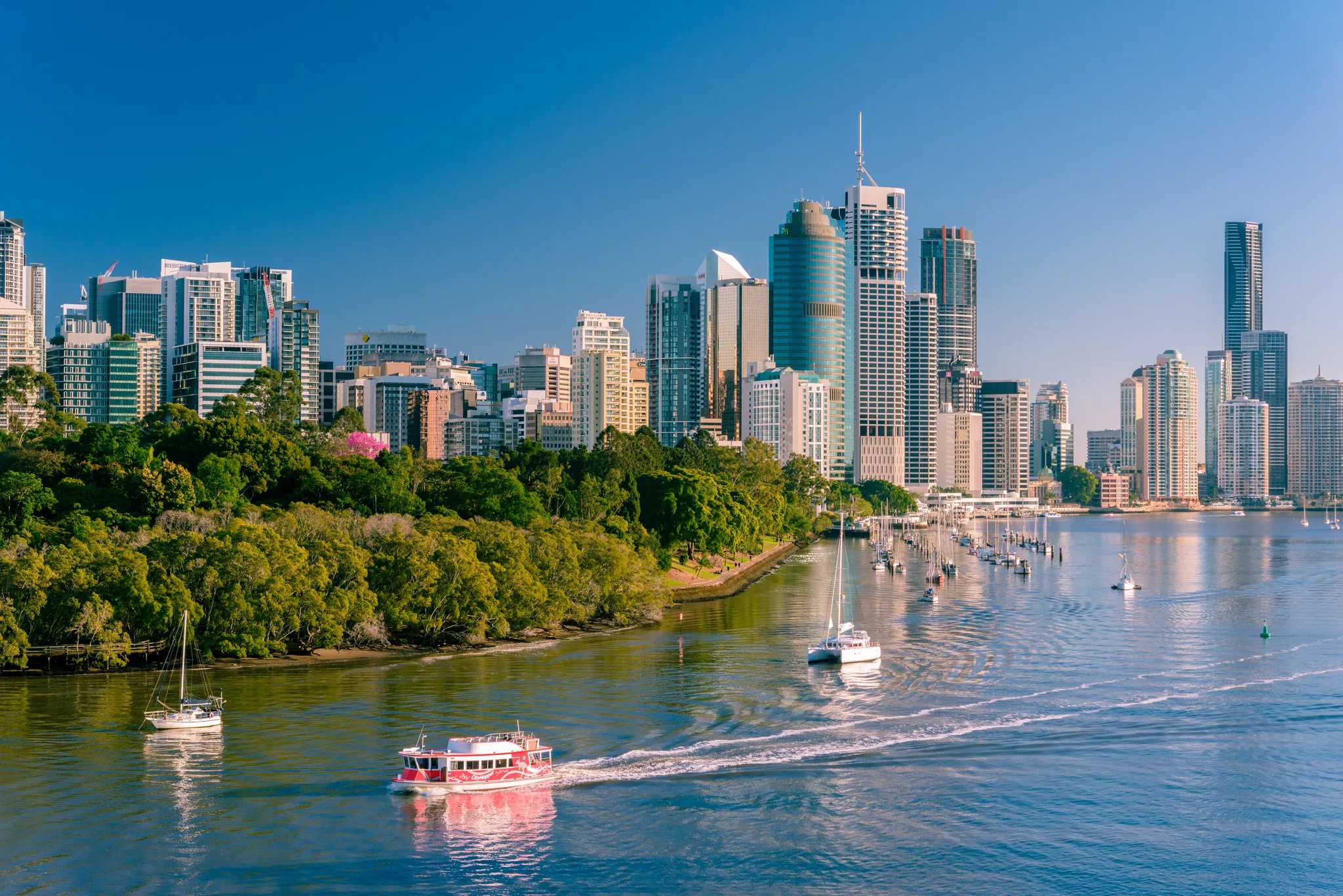 Brisbane city skyline viewed from the river